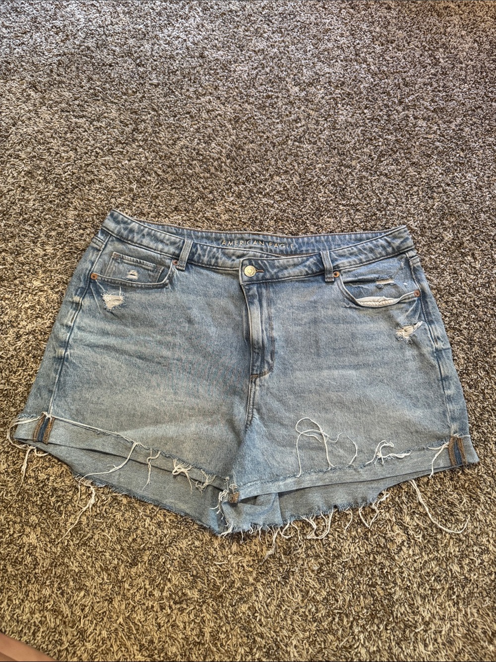 American Eagle Outfitters Light Wash Distressed Denim Cutoff Shorts
